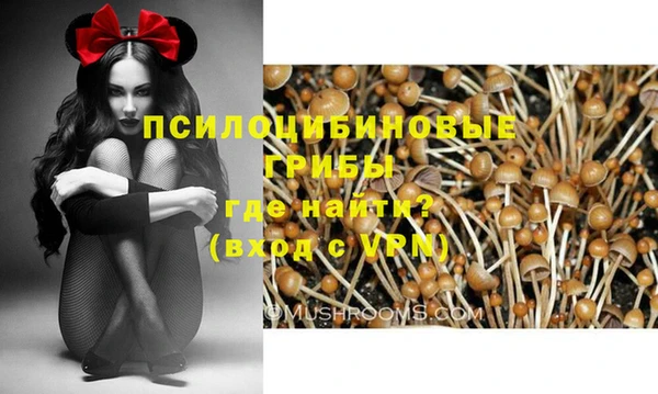 COCAINE Бежецк