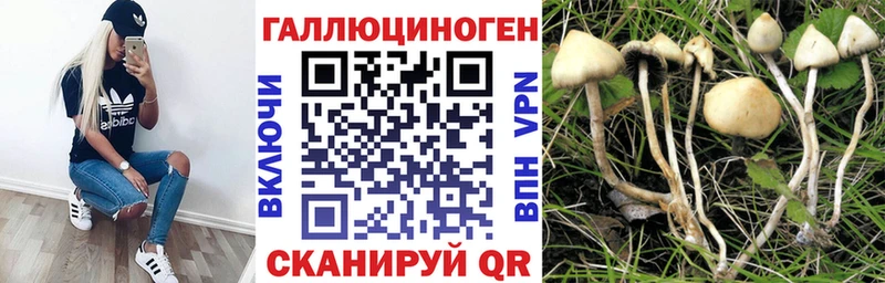 цены   Иноземцево  Псилоцибиновые грибы мухоморы 